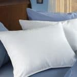 Hotel Pillows