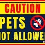 Pets not Allowed