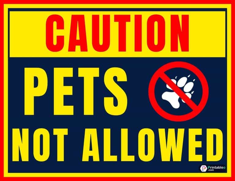 No Pets Allowed Hotels: What You Need To Know