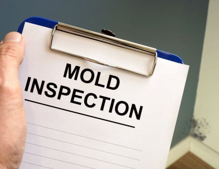 Mold In Hotel Room Lawsuit: What You Need To Know